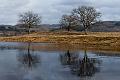 2019_02_09_Lac de Panneciere (0016)